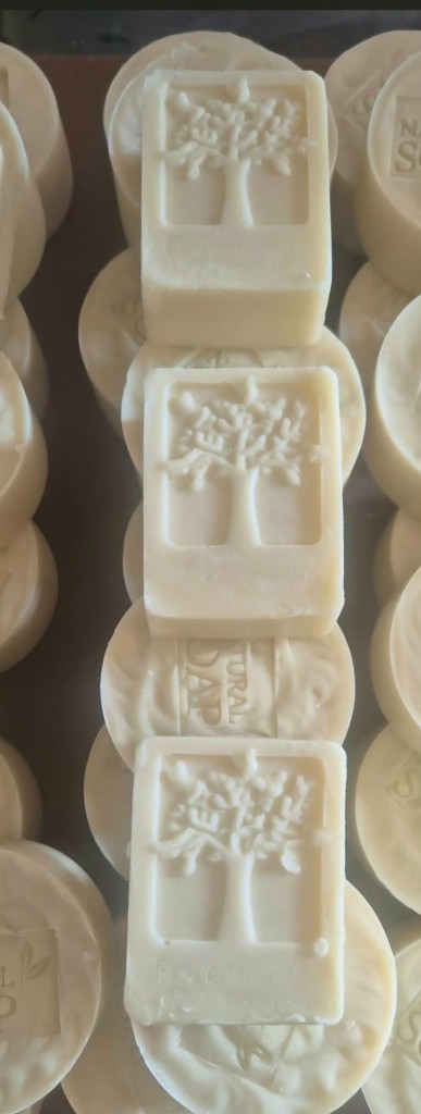 Handmade soap bars with a tree pressed into the top